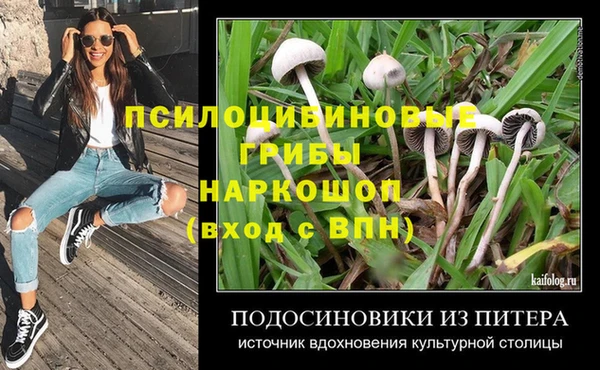 дурь Балахна