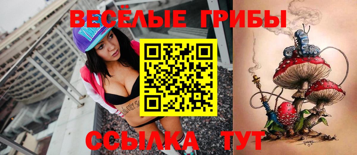 Ессентуки  продажа наркотиков  Псилоцибиновые грибы Psilocybe  Вход с VPN  Галлюциногенные грибы Psilocybe 
