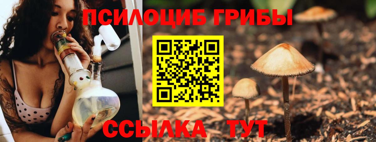 Галлюциногенные грибы Magic Shrooms Ессентуки